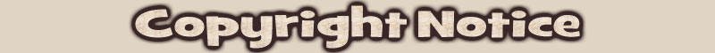 Copyright Notice