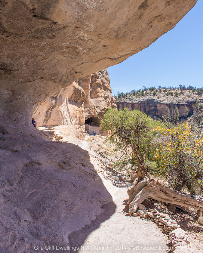 entrance trail