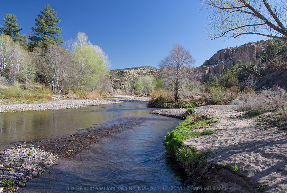 Gila River