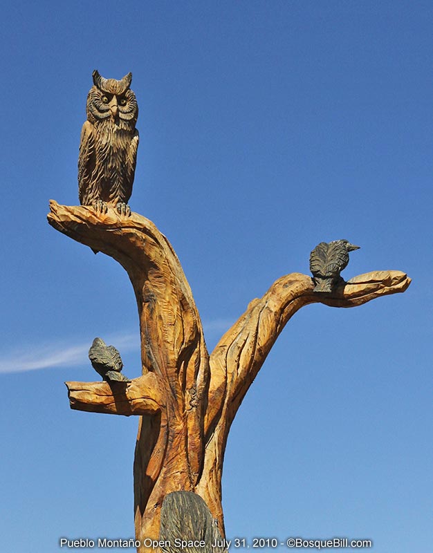 owl