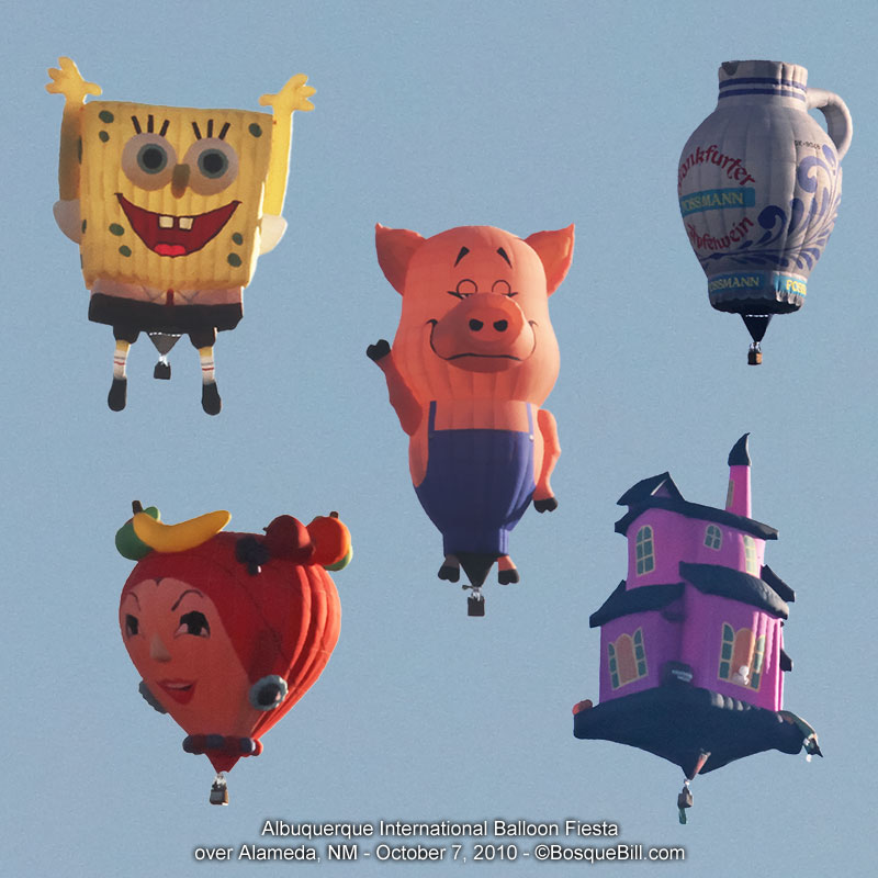hot air balloon