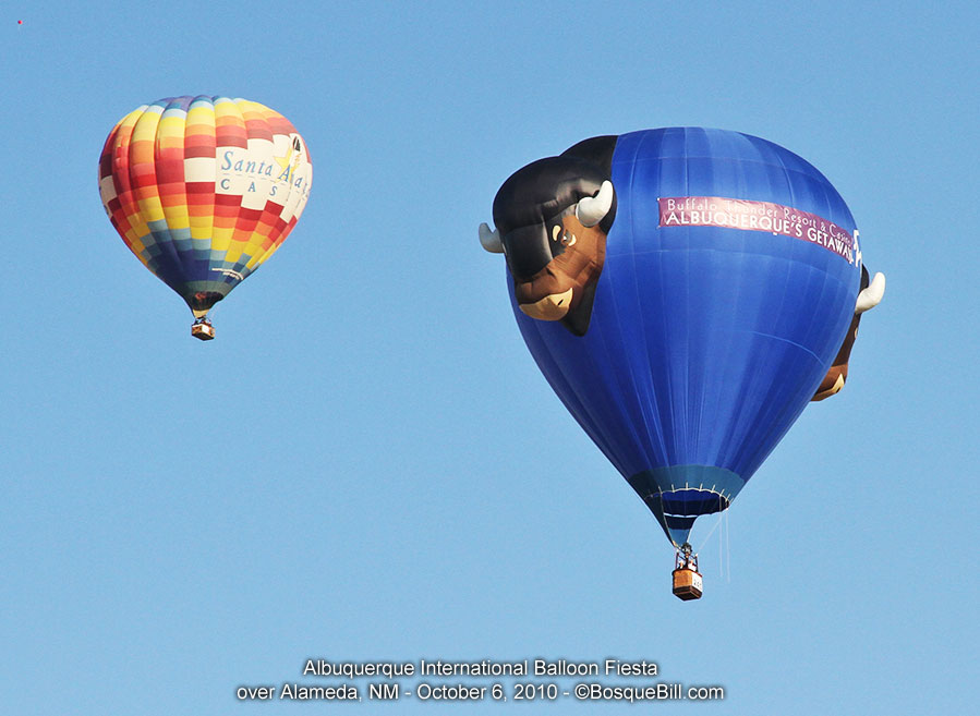 hot air balloon