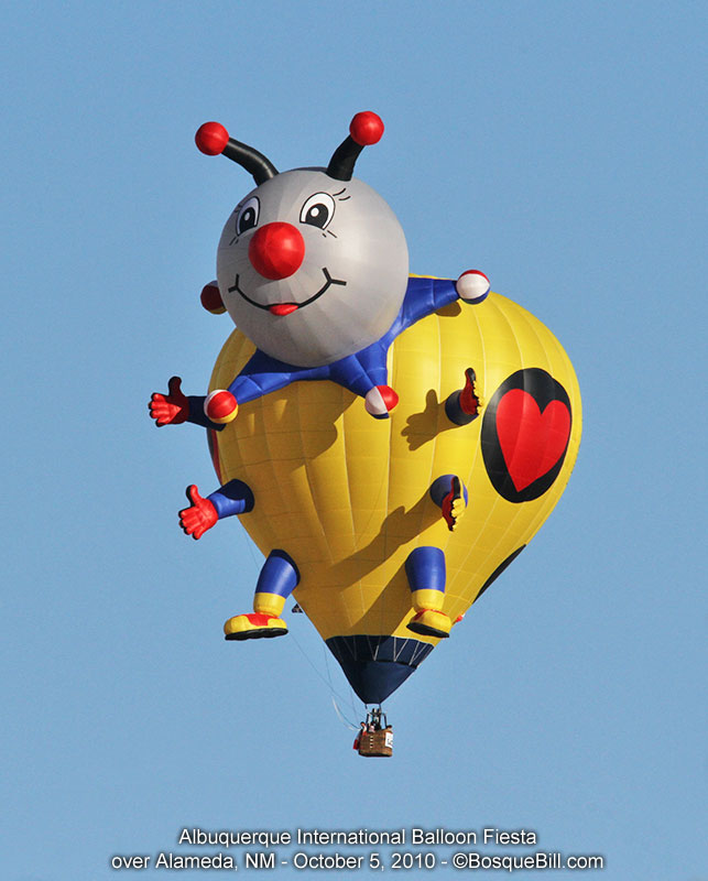 hot air balloon