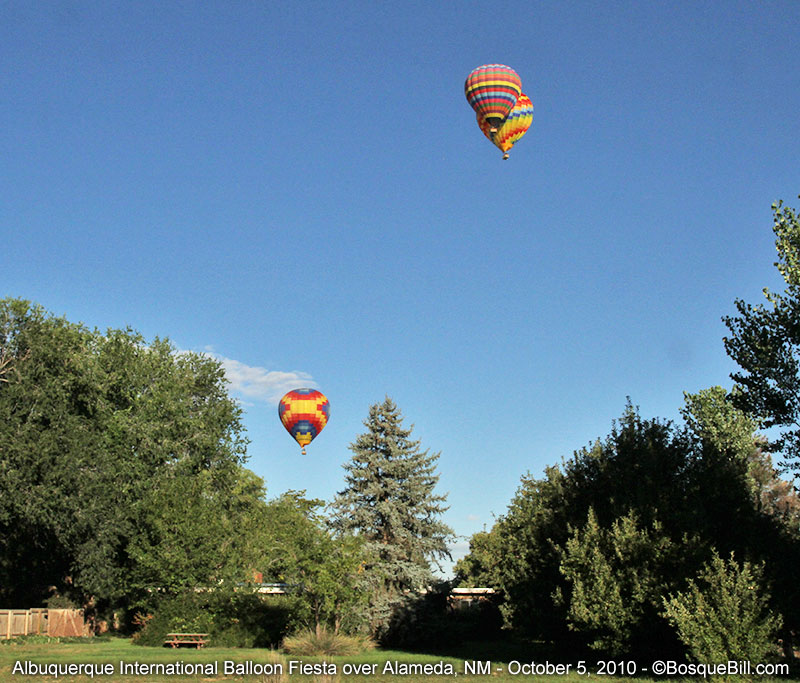 balloons over house