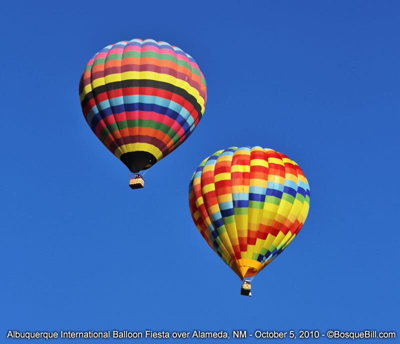 hot air balloon