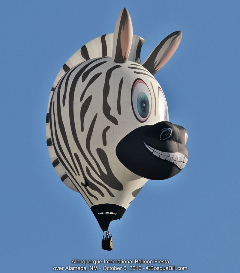 hot air balloon