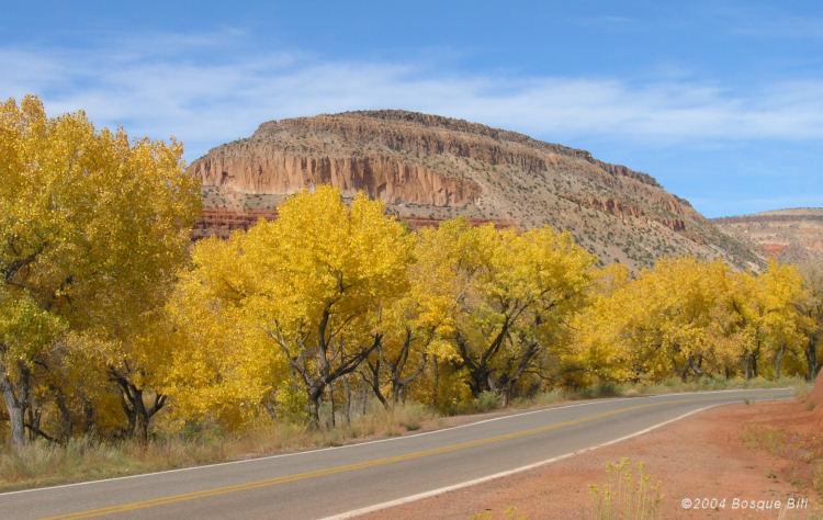 Canyon Bluff near Jemez Springs, New Mexico