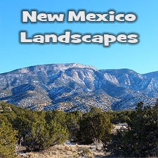 Landscape Photography